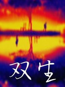 光影双生