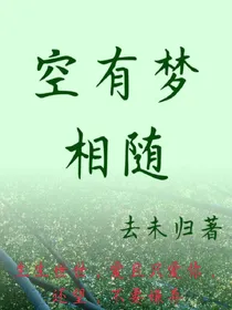 空有梦相随