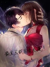 霸道总裁宠妻无度（禁止抄袭）