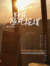 野花随风摇摆