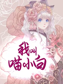 穿越：我叫喵小白
