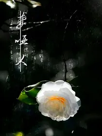 小哑巴，听大海的声音