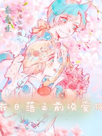 在日落之前说爱你