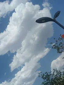 满天星的悄悄话