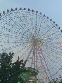 冬季的阳光