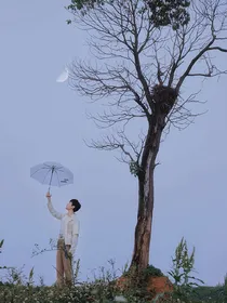 快穿之偏执男神缠上我