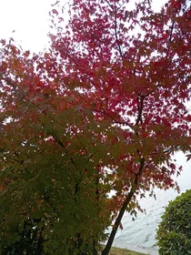 寻宝大冒险