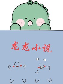 龙龙小说