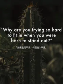 无名封面铺（可免费接单中）