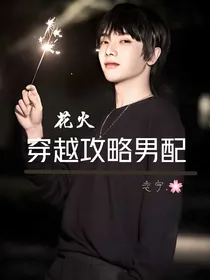花火：穿越攻略男配