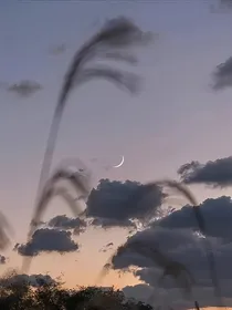 游走人间：短篇小说集