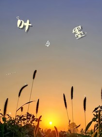 叶与墨的事