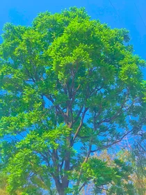 荣耀和你