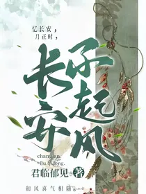 长安不起风……