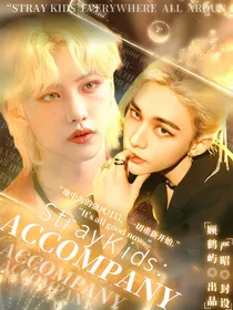 StrayKids：ACCOMPANY