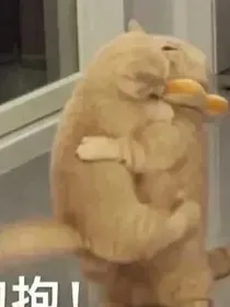 凹凸世界：笑她轻狂