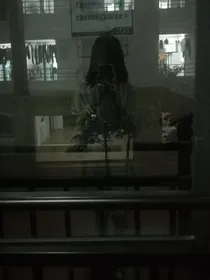 心甘情愿的当舔狗（因为我好像爱上他了）