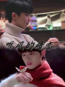 听……风的暗恋