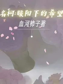 名柯：暖阳下的希望