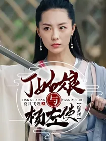 综武侠：丁姑娘与杨左使