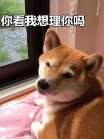 战山为王论坛体小分部