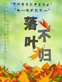 查九：落叶不归