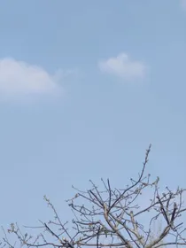 综影视：万人迷她见一个爱一个