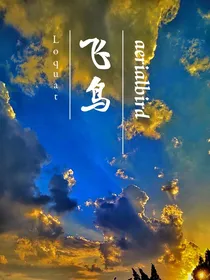 飞鸟……