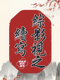 综影视之续写