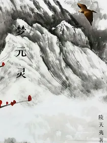 梦元灵