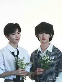 风年小鸡的快乐小屋