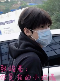 张峻豪：你是我的小玫瑰