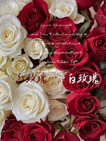 红玫瑰……白玫瑰