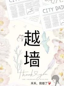 越墙
