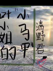 叶小姐的小马甲