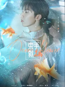 TNT：束手就擒