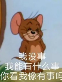 樊振东or赵睿—过路人