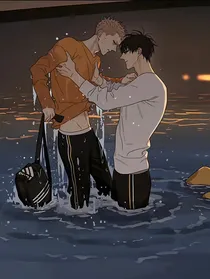 贺顶红小甜饼