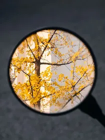综影视：他是白月光