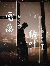雪落枯叶