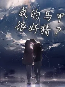 我的马甲很好猜？