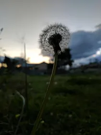最后拯救