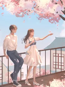 夕阳下的千纸鹤