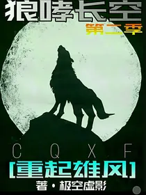 狼哮长空2：重起雄风（部分章节重制中）