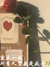 重来一世：所有人骂我是疯子！