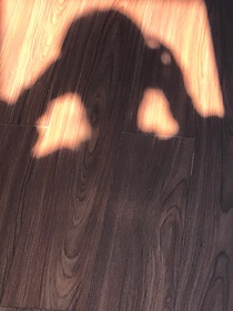 同学，可以认识一下吗