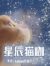 星辰猫咖
