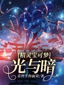 精灵宝可梦：光与暗