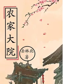农家大院