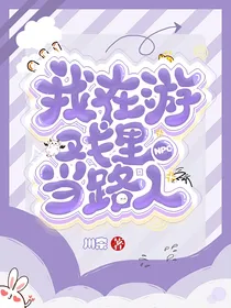 我在游戏里当路人NPC